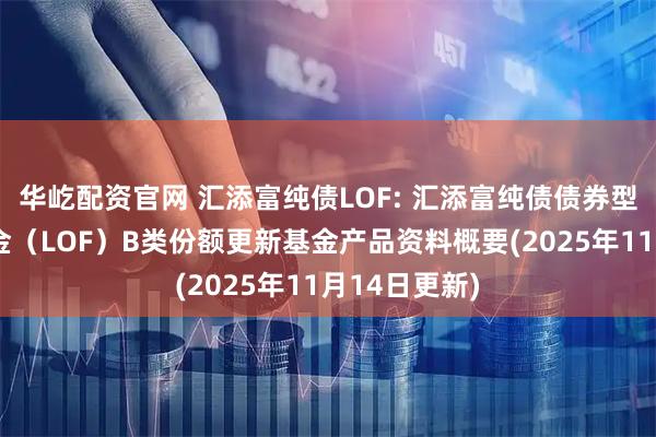 华屹配资官网 汇添富纯债LOF: 汇添富纯债债券型证券投资基金（LOF）B类份额更新基金产品资料概要(2025年11月14日更新)
